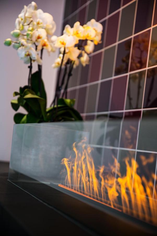 Hotel Intercityhotel Geneva 4*